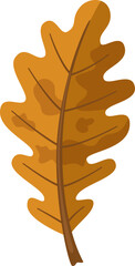 Fototapeta premium Autumn yellow oak leaf isolated on white background.