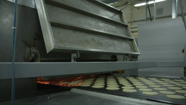 static close up shot of cookies on a conveyor line going into an oven in a food factory