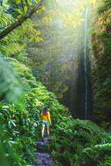 Naklejka na ściany i meble Tourist woman walking along fern overgrown hiking trail torwards picturesque, overgrown waterfall in the Madeiran rainforest. Levada of Caldeirão Verde, Madeira Island, Portugal, Europe.