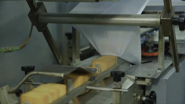 static close up shot of square cookies being packed on a conveyor line