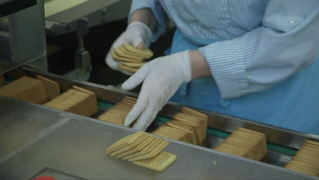 static close up shot of an employee arranging groups of cookies on a conveyor line before packaging