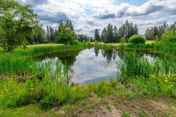 Fototapeta premium A small natural water hazard with lush foliage at the Highlands Golf Course, a suburban community of high end homes located in Post Falls, Idaho, part of the Coeur d'Alene area.