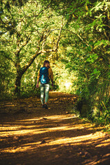 Obraz premium Tourist woman walking along jungle footpath next to water channel through light filled Madeiran rainforest during golden hour. Levada of Caldeirão Verde, Madeira Island, Portugal, Europe.