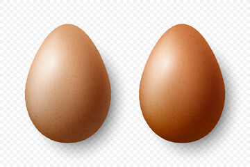 Vector 3d Realistic Brown Textured Chicken Eggs Closeup Isolated. Chicken Egg Set. Vector Different Color Whole Eggs. Egg in Front, Top View