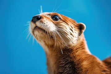 A close up of a small animal on a blue background. Generative AI image.