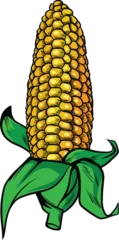 Fotobehang Ear of Corn isolated on a white background. Hand drawn vector illustration. Comic book style, retro, vintage illustration vector © DonVivaldo