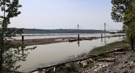 Fototapeta premium Rafts made of wooden logs moored at the river