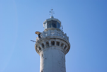 lighthouse on the island of island