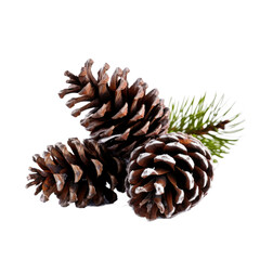 snowy pine cones isolated on a transparent background, generative ai