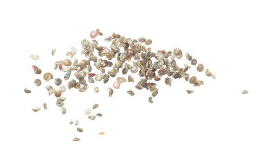 Seashell fall splashing in air. sea shell explosion flying, abstract cloud fly. Many Small Seashell scatter in many group. White background isolated high speed shutter freeze motion