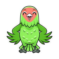 Cute peach faced love bird cartoon