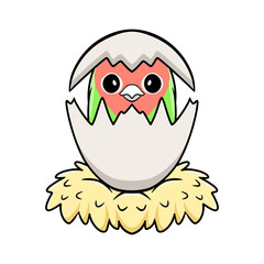 Cute peach faced love bird cartoon inside from egg