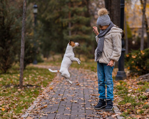 Obraz premium Caucasian girl playing with a dog for a walk in the autumn park. 