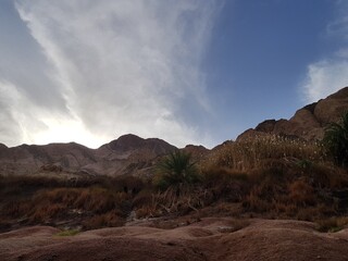 Mountain gorge with palm trees Egyptian Vaadi
