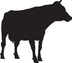 silhouette of a cow