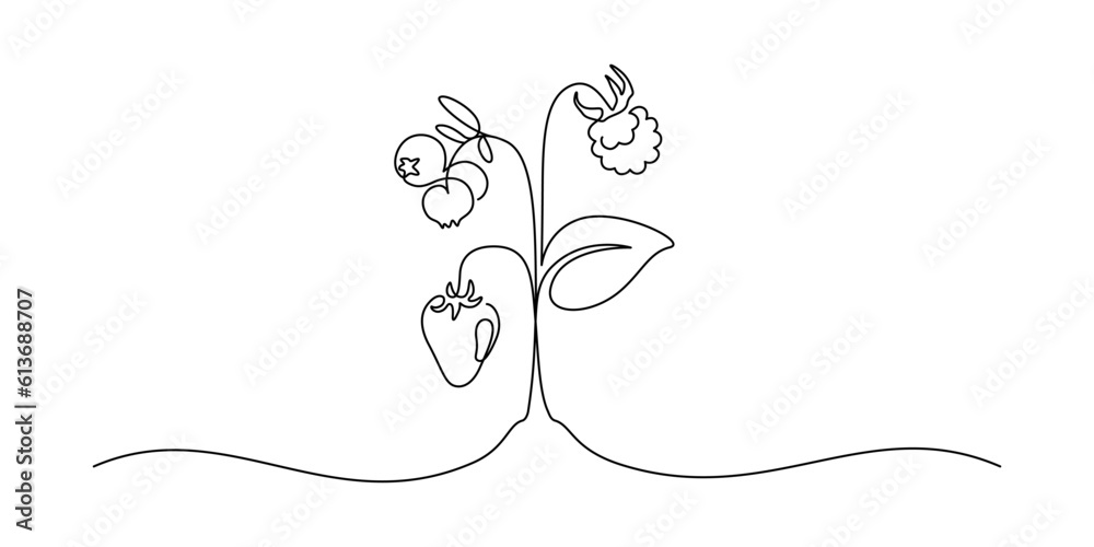 Poster berries on plant in one continuous line drawing. fruit and strawberries in simple linear style. labe