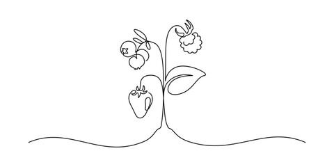 Berries on plant in one continuous line drawing. Fruit and strawberries in simple linear style. Label for jam and yogurt banner in editable stroke. Doodle vector illustration