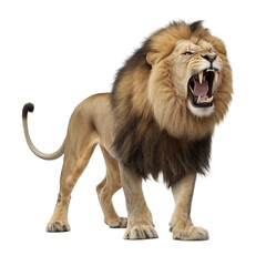 Big Angry Lion Roaring on transparent background Generative AI