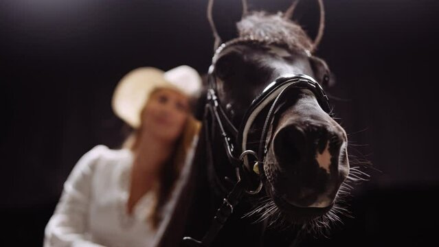 Portrait Of A Horse And Lady In A Studio