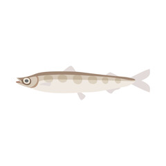 ニギス。フラットなベクターイラスト。
Deep-sea smelt.  Flat designed vector illustration.