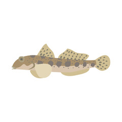 マハゼ。フラットなベクターイラスト。
Yellowfin goby. Flat designed vector illustration.