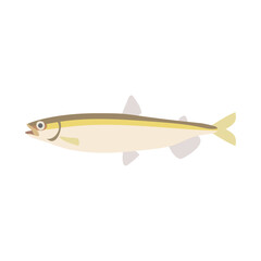 Obraz premium シシャモ。フラットなベクターイラスト。 Japanese longfin smelt. Flat designed vector illustration.