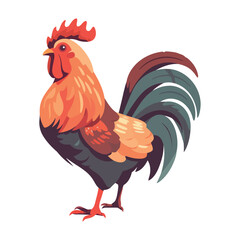 Rooster standing on farm, crowing at dawn