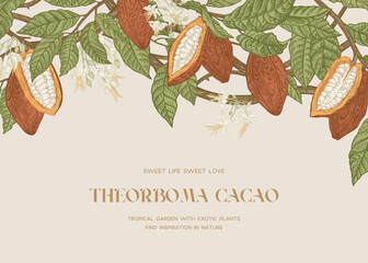 Vintage card with cocoa. Border with fruits, flowers, leaves. Vector botanical illustration. Colorful. - 613690968