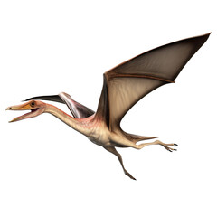 Pteranodon, Pterodactylus dinosaur on transparent background Generative AI - obrazy, fototapety, plakaty