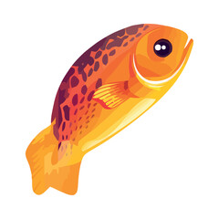 Goldfish swimming, nature pets