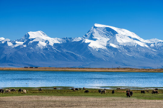 Gurla Mandhata and Lake Manasarovar in Pulan county 
 Ngari Prefecture Tibet Autonomous Region, China.
