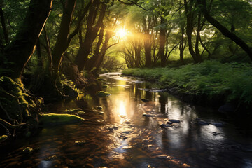 Fototapeta premium serene beauty of nature with a lush, green forest and a tranquil stream flowing gently through it, during golden hour