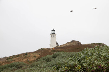 Anacapa Island Light Station at  Channel Islands National Park, California
