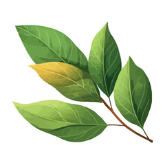 Fresh green leaves of a tree branch