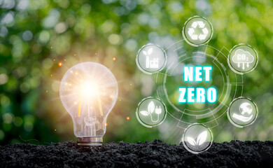 Net zero and carbon neutral concept, Light bulb on soil with net zero icon on vitual screen.