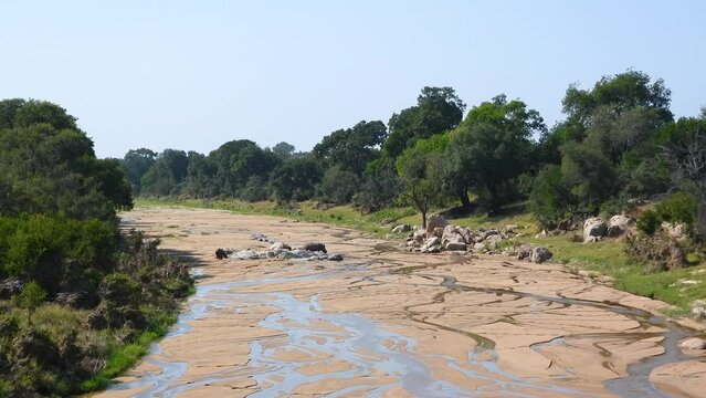 Image of creek drying up, dirt and stones within the creek bed and lined with green mature trees and stones.