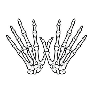 Human skeleton hand. Vector illustration of human bones. Hand-drawn skeleton.
