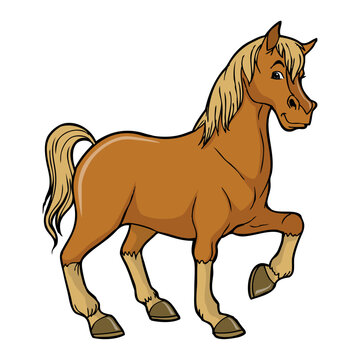 Horse vector illustration