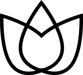 Icon Lotus 