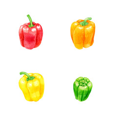 ピーマンとパプリカのセット　夏野菜の手描き水彩イラスト素材集