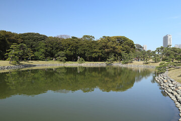 Fototapeta na wymiar A historic garden in Tokyo