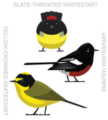 Cute Bird Whitestart Set Cartoon Vector