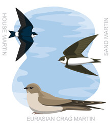 Cute Bird House Martin Swallow Set Cartoon Vector