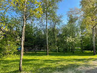 Well-worn path to the park. Park in summer.