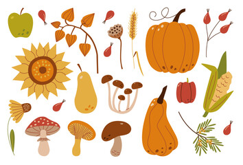 Autumn harvest set. Collection of ripe delicious vegetables, fresh fruits, berries, mushrooms, late flowers.