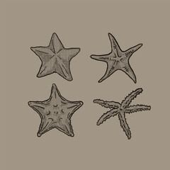 set of starfish