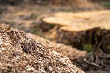 Wood Compost pile close up in a field on a farm  