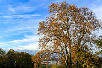 Le Parc de la Grange à Genève en automne