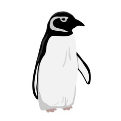 Cute Penguin. Flat vector illustration isolated on white.