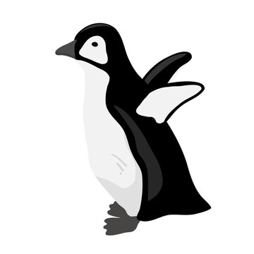 Cute Penguin. Flat vector illustration isolated on white.